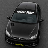 برچسب ویندشیلد شیشه جلو خودرو مدل Night Fury (خشم شب)